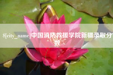 昭通中国消防救援学院新疆录取分数