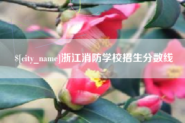 昭通浙江消防学校招生分数线