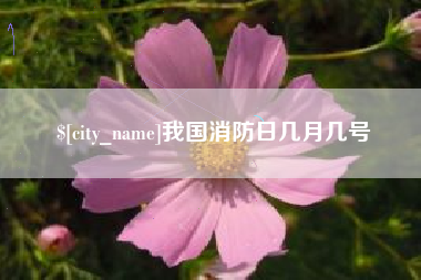 昭通我国消防日几月几号