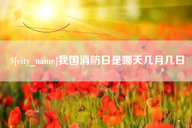 昭通我国消防日是哪天几月几日