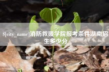 昭通消防救援学院报考条件湖南招生多少分