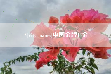 昭通中国金牌18金
