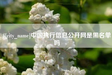 昭通中国执行信息公开网是黑名单吗