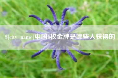 昭通中国6枚金牌是哪些人获得的