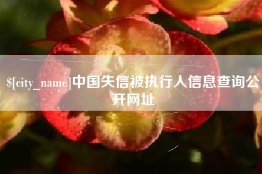 昭通中国失信被执行人信息查询公开网址