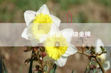 昭通奥运会39块金牌