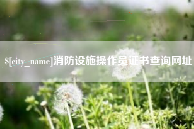 昭通消防设施操作员证书查询网址