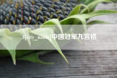 昭通中国冠军九宫格