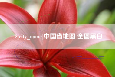 昭通中国省地图 全图黑白