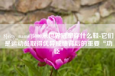 昭通5000米世界冠军穿什么鞋-它们是运动员取得优异成绩背后的重要“功臣”