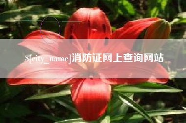 昭通消防证网上查询网站