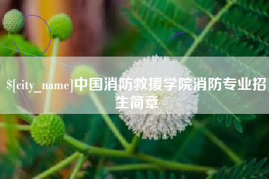 昭通中国消防救援学院消防专业招生简章