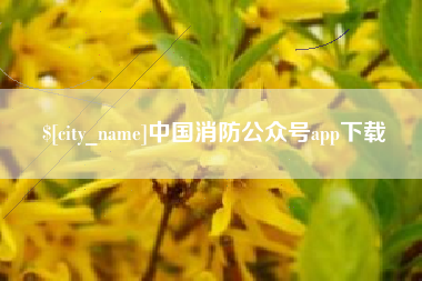 昭通中国消防公众号app下载