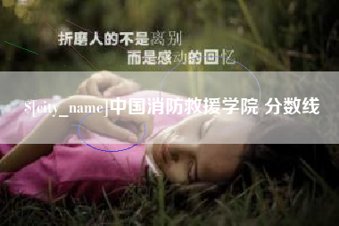 昭通中国消防救援学院 分数线