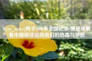 昭通男子5000米全国记录-更是承载着中国田径运动员们的热血与梦想