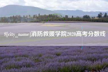 昭通消防救援学院2020高考分数线