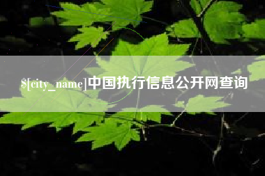 昭通中国执行信息公开网查询