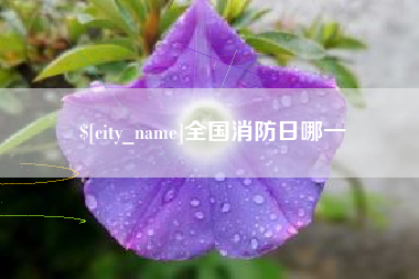昭通全国消防日哪一