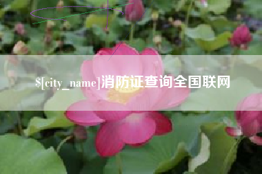 昭通消防证查询全国联网