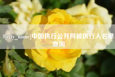 昭通中国执行公开网被执行人名单查询