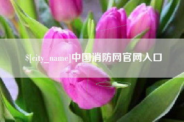 昭通中国消防网官网入口