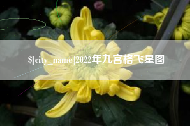 昭通2022年九宫格飞星图