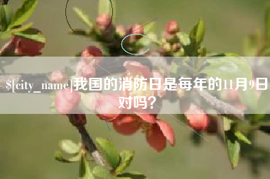 昭通我国的消防日是每年的11月9日对吗？