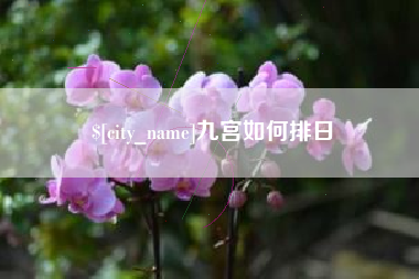 昭通九宫如何排日