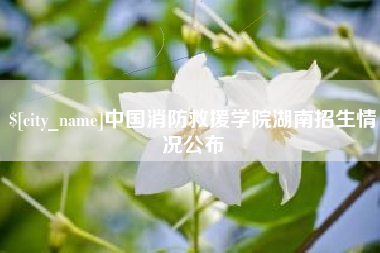 昭通中国消防救援学院湖南招生情况公布