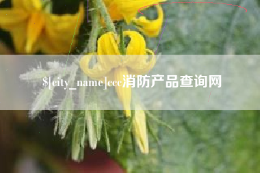 昭通ccc消防产品查询网