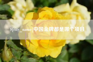 昭通中国金牌都是哪个项目