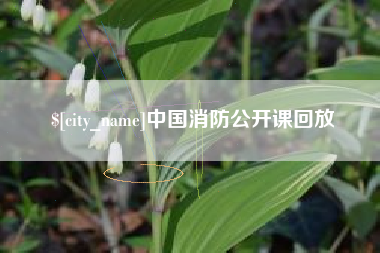 昭通中国消防公开课回放