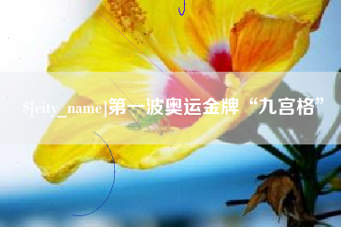 昭通第一波奥运金牌“九宫格”