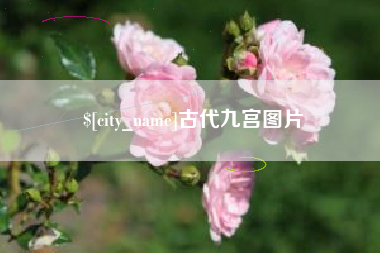 昭通古代九宫图片