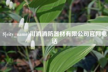 昭通川消消防器材有限公司官网电话