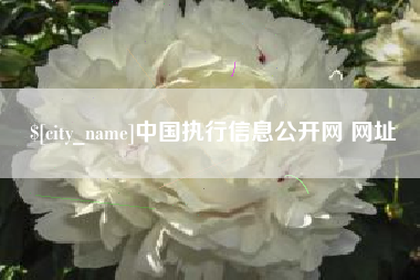 昭通中国执行信息公开网 网址