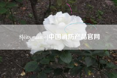 昭通中国消防产品官网