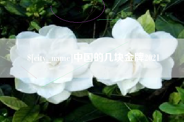 昭通中国的几块金牌2021
