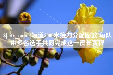 昭通短道5000米接力分配圈数-每队由多名选手共同完成这一漫长赛程