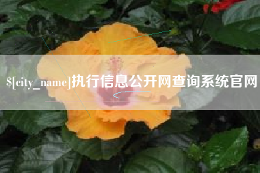 昭通执行信息公开网查询系统官网
