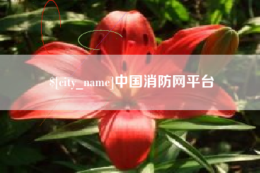 昭通中国消防网平台