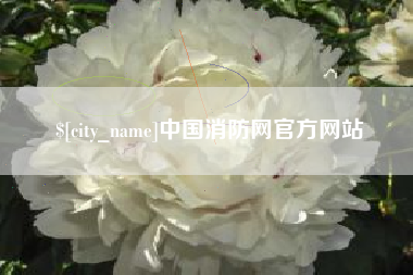 昭通中国消防网官方网站