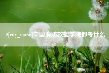 昭通中国消防救援学院都考什么