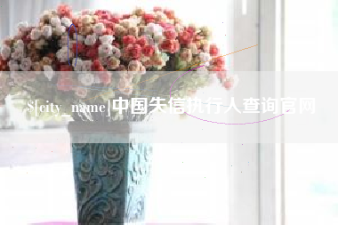 昭通中国失信执行人查询官网