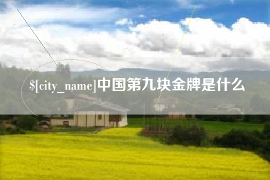 昭通中国第九块金牌是什么
