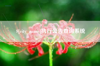 昭通执行公告查询系统