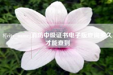 昭通消防中级证书电子版查询多久才能查到