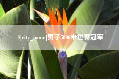 昭通男子5000米世界冠军