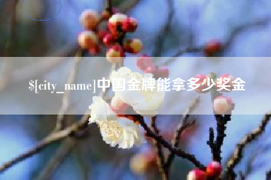 昭通中国金牌能拿多少奖金