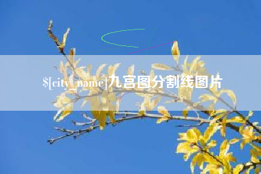 昭通九宫图分割线图片